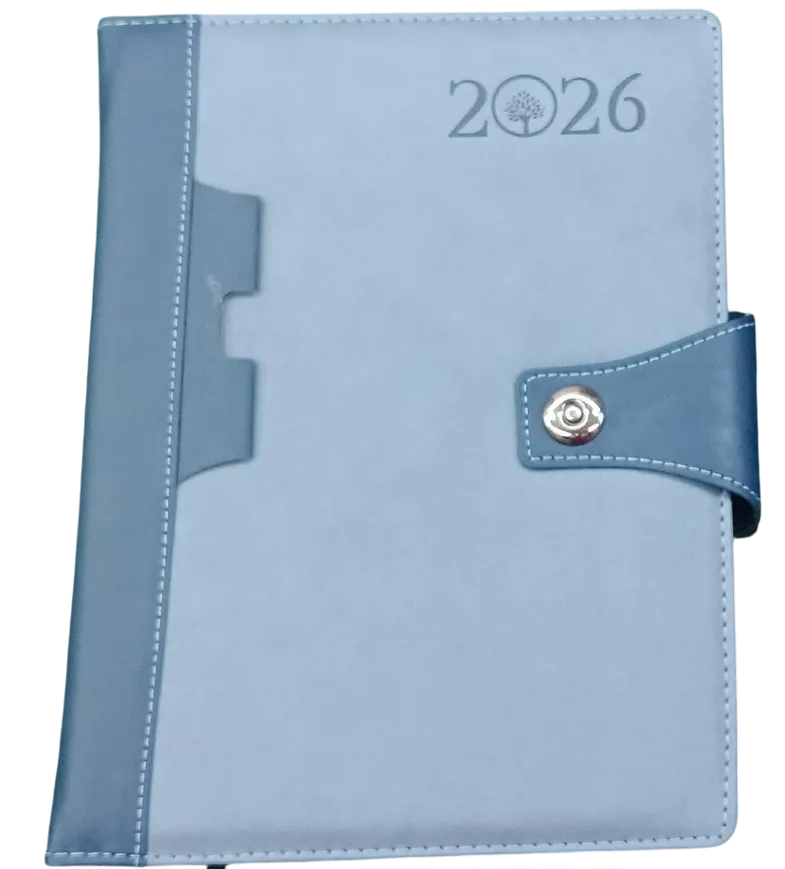 Sunday Full Page - Foam Diary  MRP 550.00